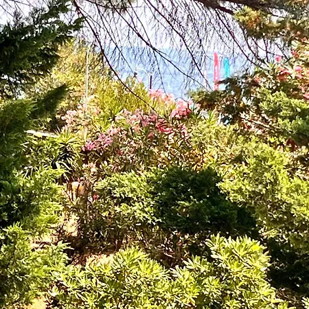 A 30 Metri Dalla * Porto Azzurro